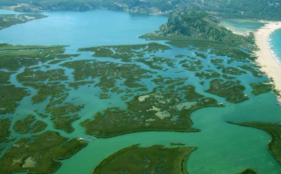 Dalyan İztuzu Plajı